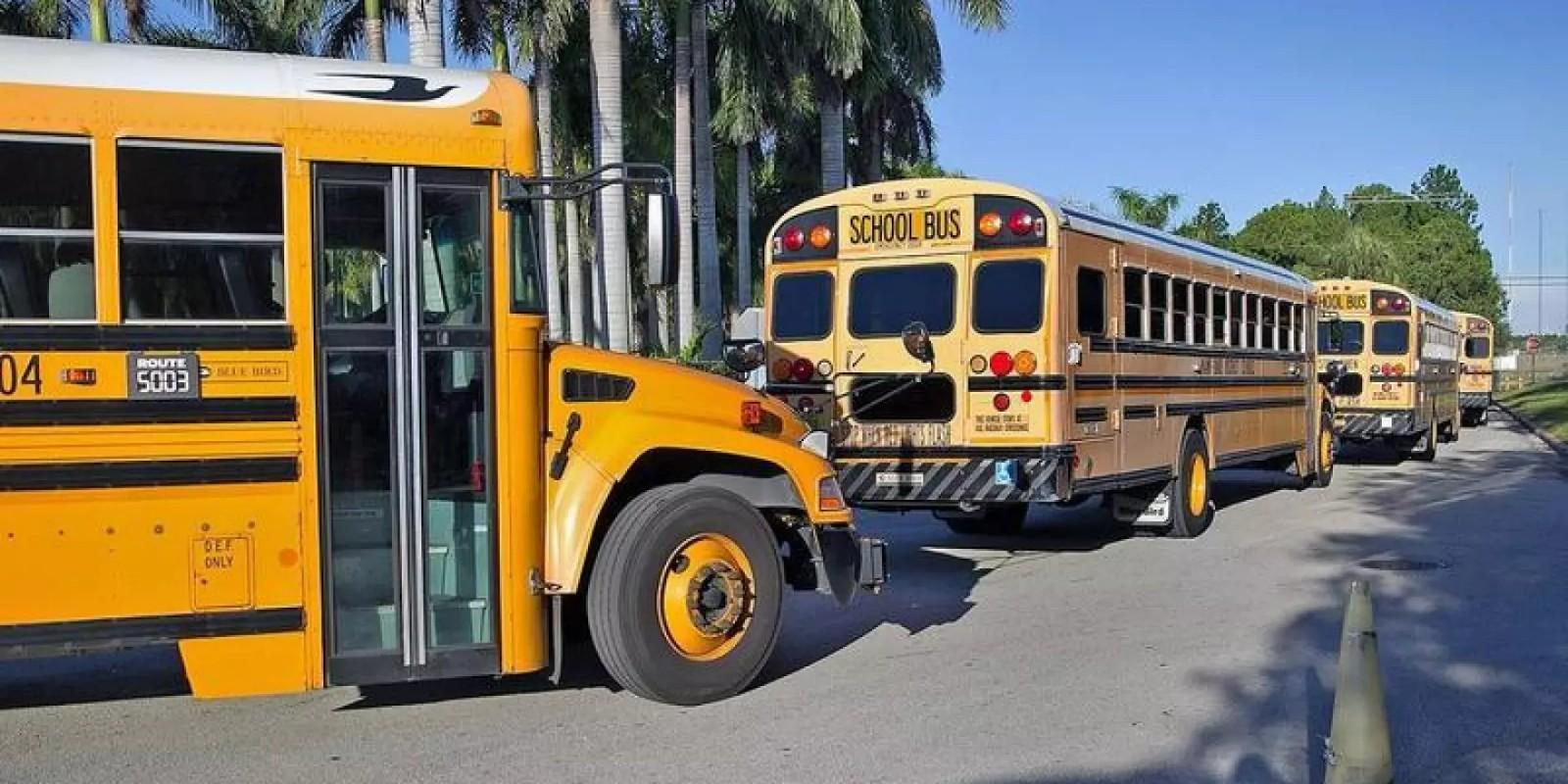 Diferencias entre Colegios Charter y Magnet en Broward